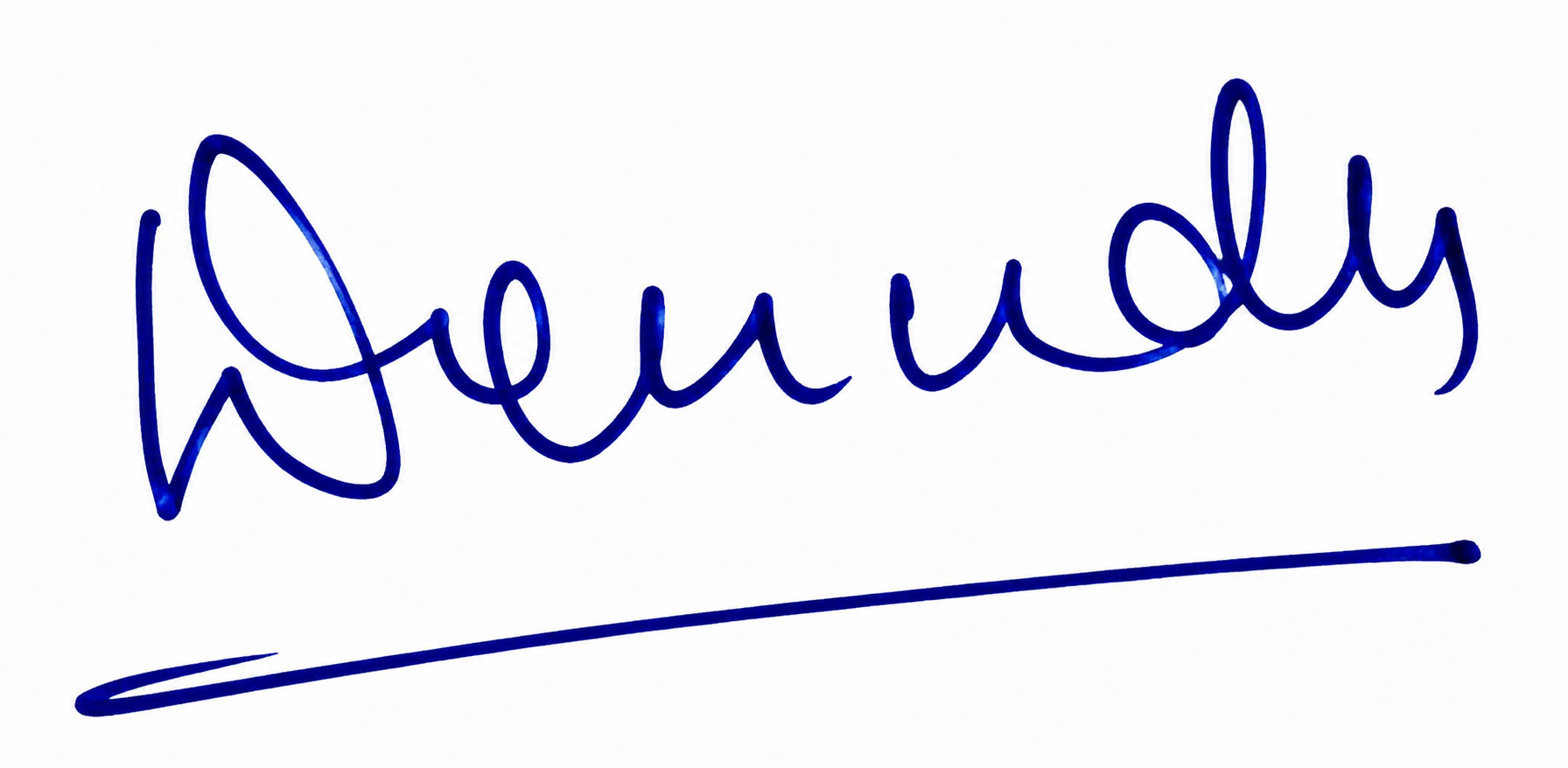Signature of Mr. Devendra Singh Shekhawat